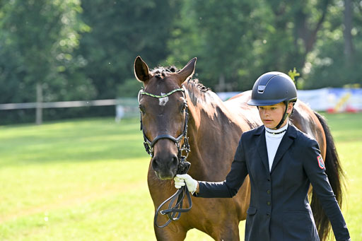  | 15062025 Vormustern _062 