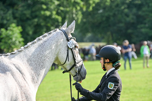  | 15062025 Vormustern _066 