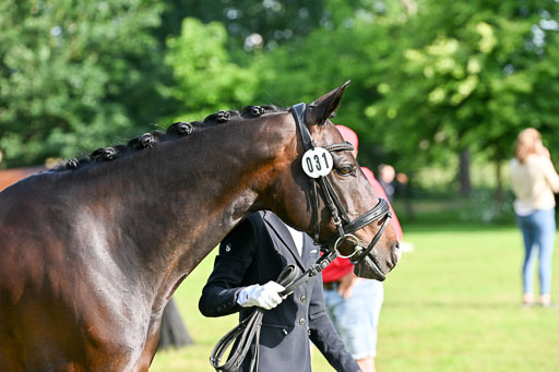  | 15062025 Vormustern _075 