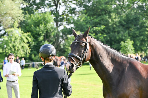  | 15062025 Vormustern _081 