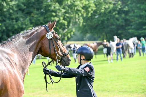  | 15062025 Vormustern _084 