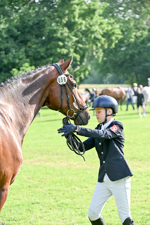  | 15062025 Vormustern _086 