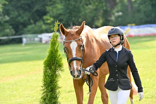  | 15062025 Vormustern _101 