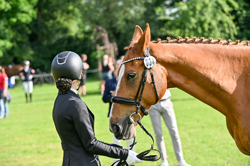  | 15062025 Vormustern _103 