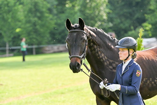  | 15062025 Vormustern _115 