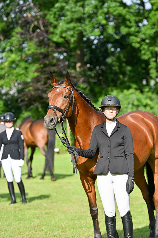  | 15062025 Vormustern _135 