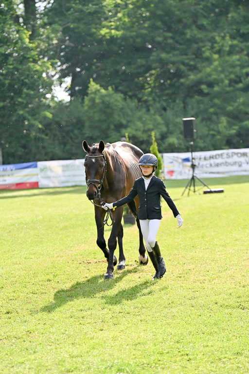  | 15062025 Vormustern _146 