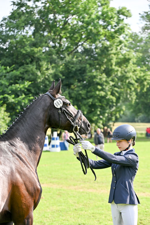  | 15062025 Vormustern _153 