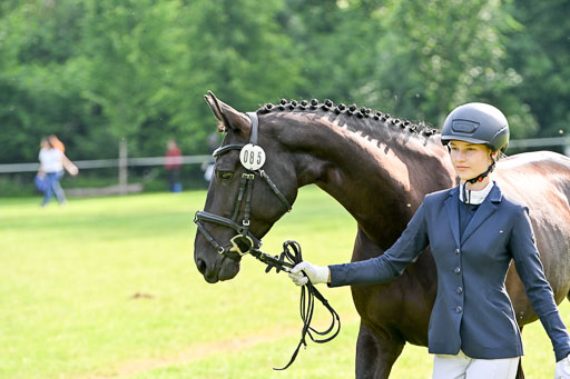  | 15062025 Vormustern _163 