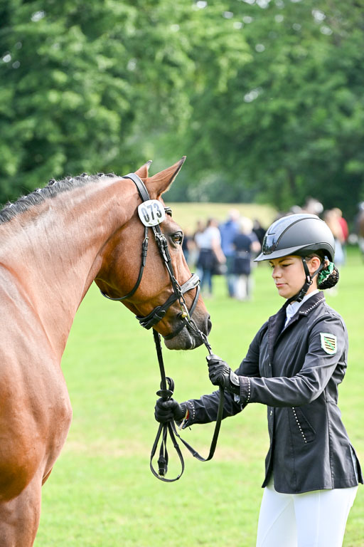  | 15062025 Vormustern _189 