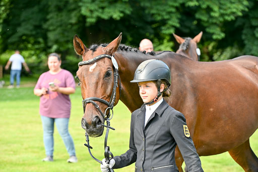  | 15062025 Vormustern _204 