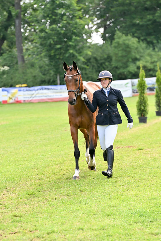  | 15062025 Vormustern _210 