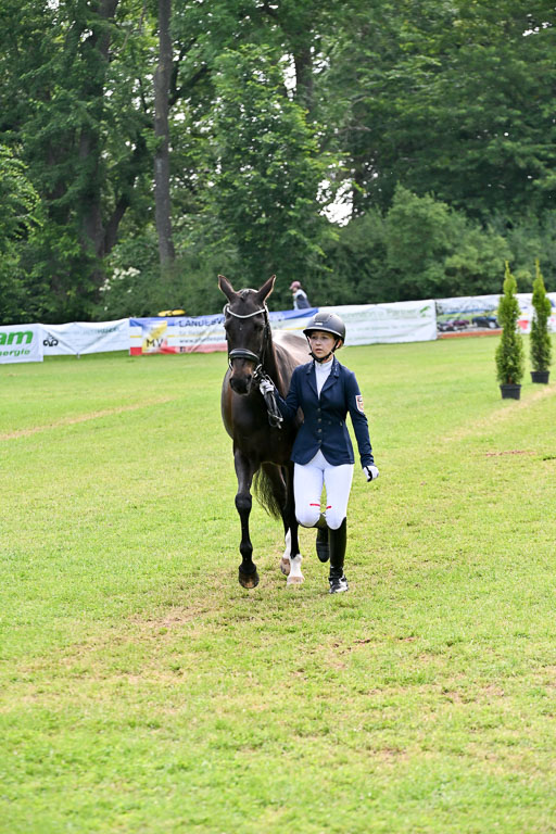  | 15062025 Vormustern _218 