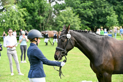  | 15062025 Vormustern _222 