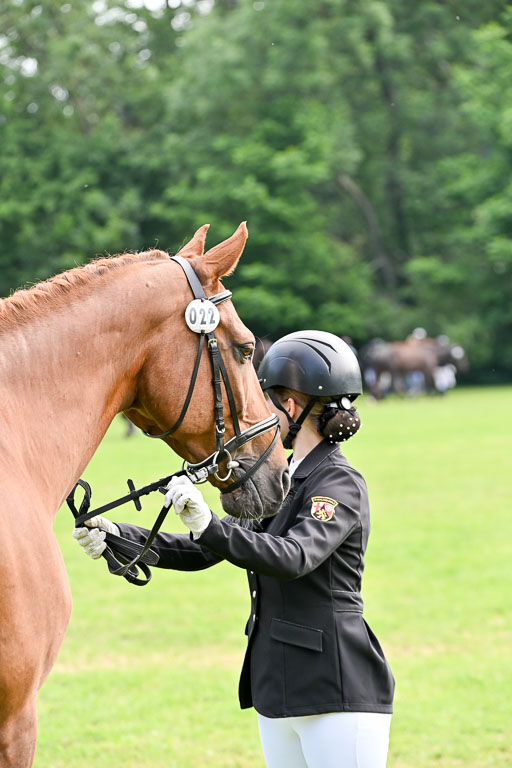  | 15062025 Vormustern _228 