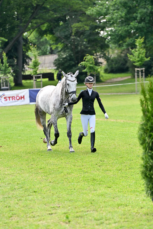  | 15062025 Vormustern _229 