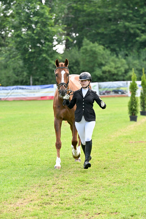  | 15062025 Vormustern _231 