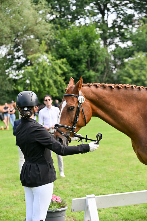  | 15062025 Vormustern _234 