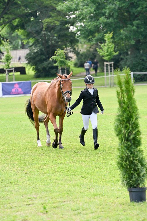  | 15062025 Vormustern _240 