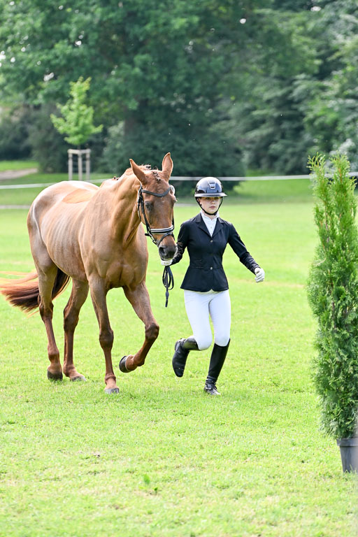  | 15062025 Vormustern _250 