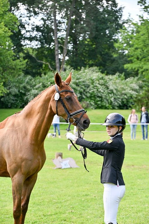  | 15062025 Vormustern _254 