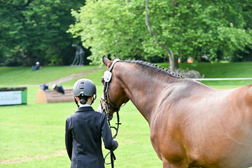  | 15062025 Vormustern _257 