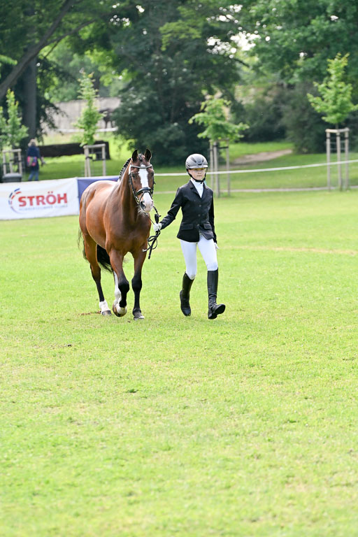  | 15062025 Vormustern _262 