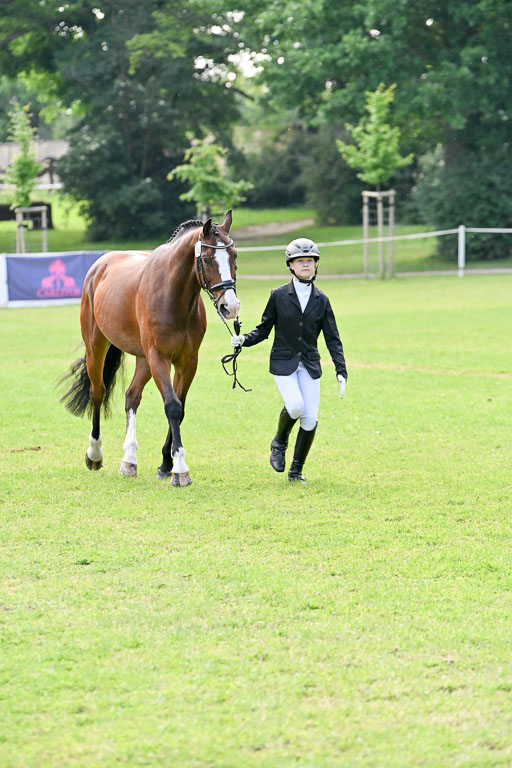  | 15062025 Vormustern _263 