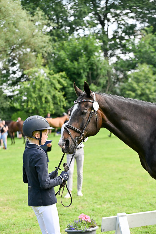  | 15062025 Vormustern _270 