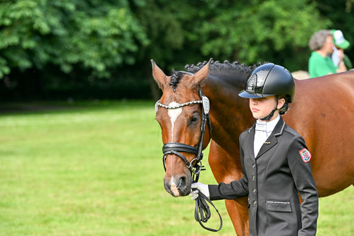  | 15062025 Vormustern _271 