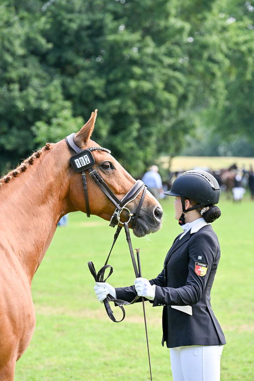  | 15062025 Vormustern _276 