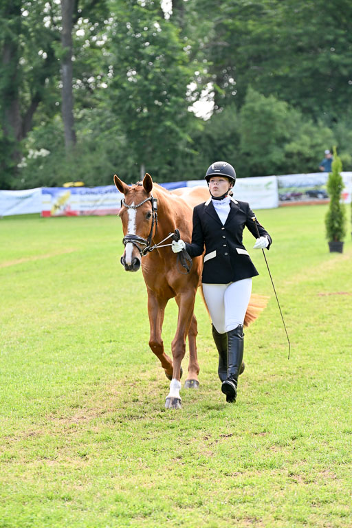  | 15062025 Vormustern _280 