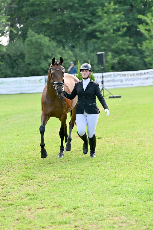  | 15062025 Vormustern _290 