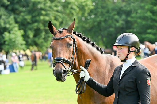  | 15062025 Vormustern _291 