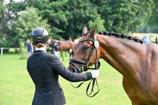  | 15062025 Vormustern _292 