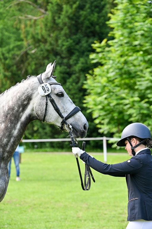  | 15062025 Vormustern _301 