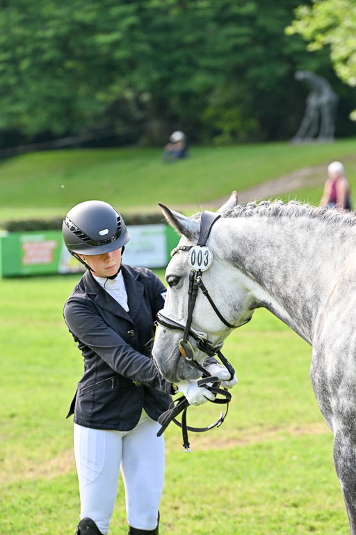  | 15062025 Vormustern _323 