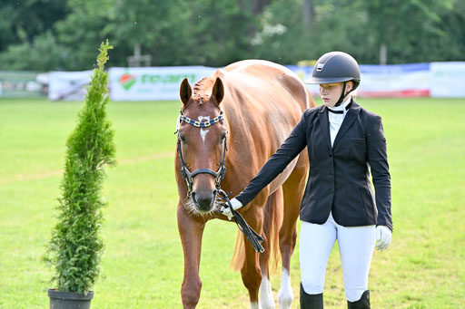  | 15062025 Vormustern _326 