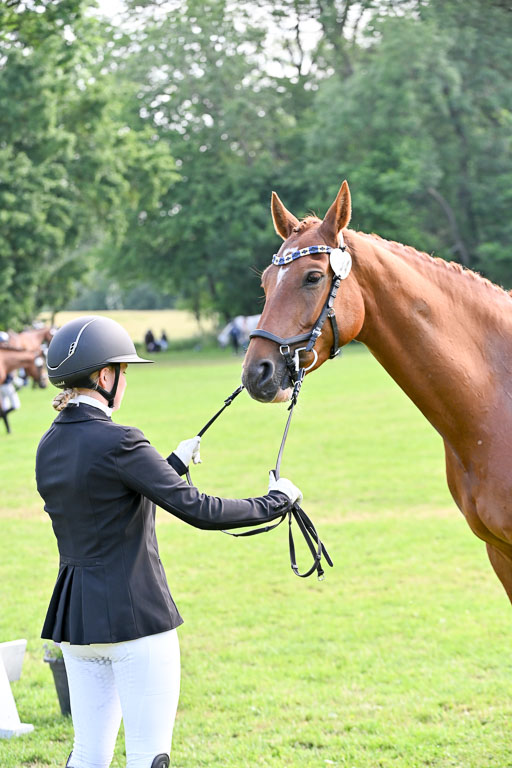  | 15062025 Vormustern _329 