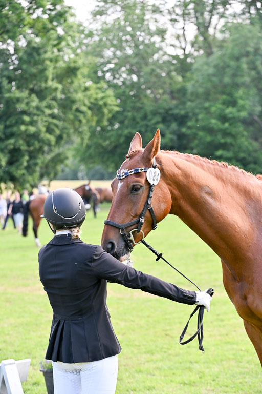  | 15062025 Vormustern _330 