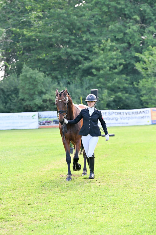  | 15062025 Vormustern _336 