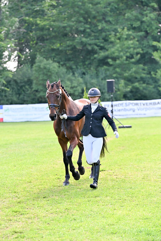  | 15062025 Vormustern _337 