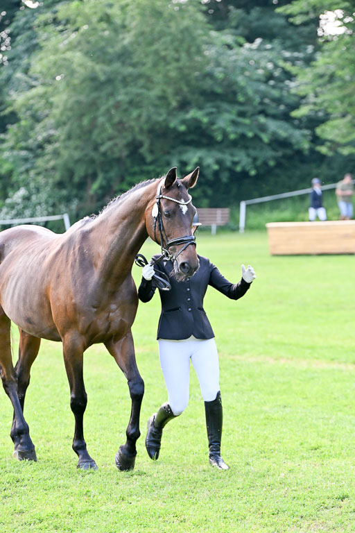  | 15062025 Vormustern _343 