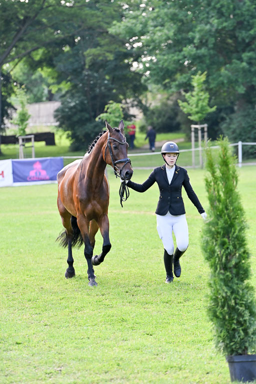  | 15062025 Vormustern _353 