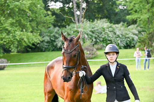  | 15062025 Vormustern _356 