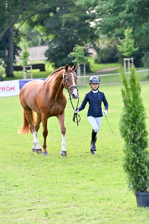  | 15062025 Vormustern _364 