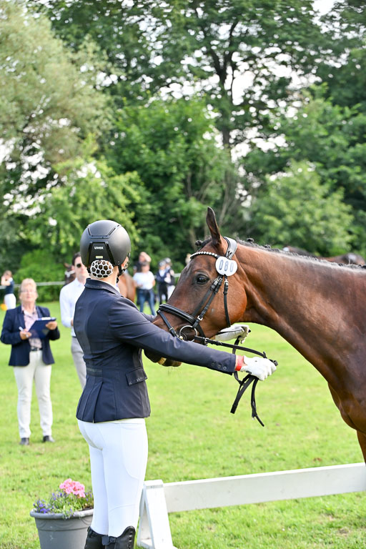  | 15062025 Vormustern _375 