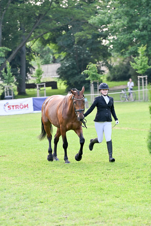  | 15062025 Vormustern _378 