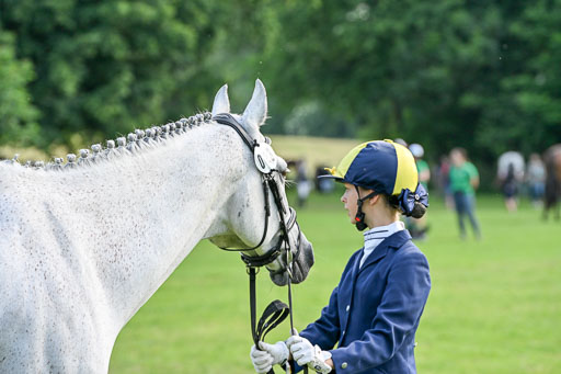  | 15062025 Vormustern _380 