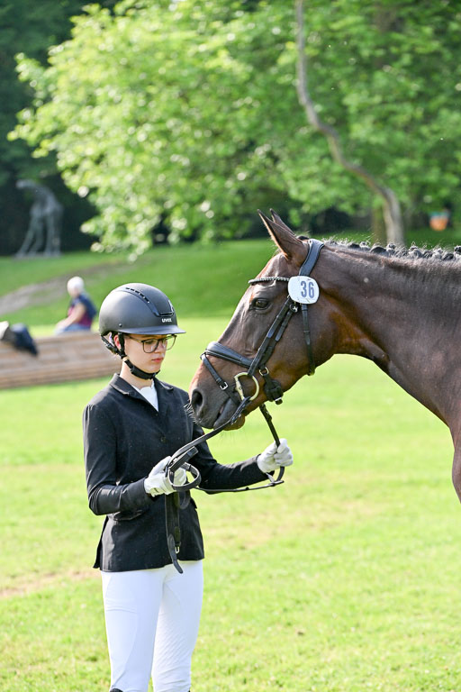  | 15062025 Vormustern _390 